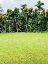 Bin Tong Park (D10), Detached #572221641